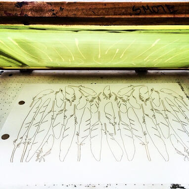 Icarus and The Albatross Process