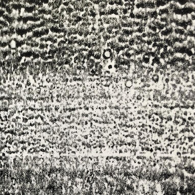 Remnants Remnants