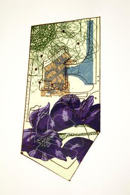 Aconitum Aconitum