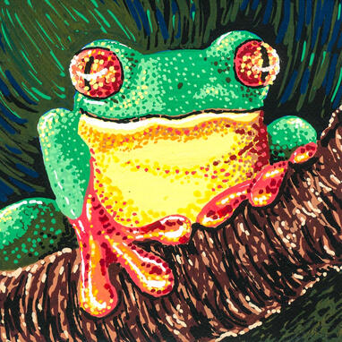 Red-Eyed Tree Frog Red-Eyed Tree Frog