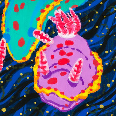 Nudibranches Nudibranches