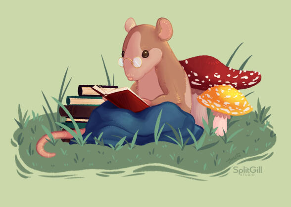 Reading Rat Reading Rat