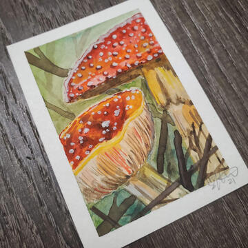 Mushrooms Watercolor