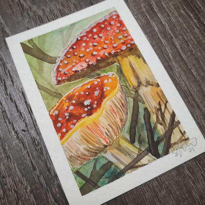Mushrooms Watercolor Mushrooms Watercolor