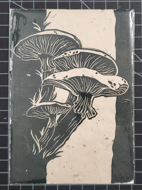 Mushrooms Mushrooms